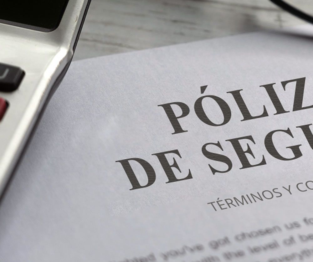 derecho seguros